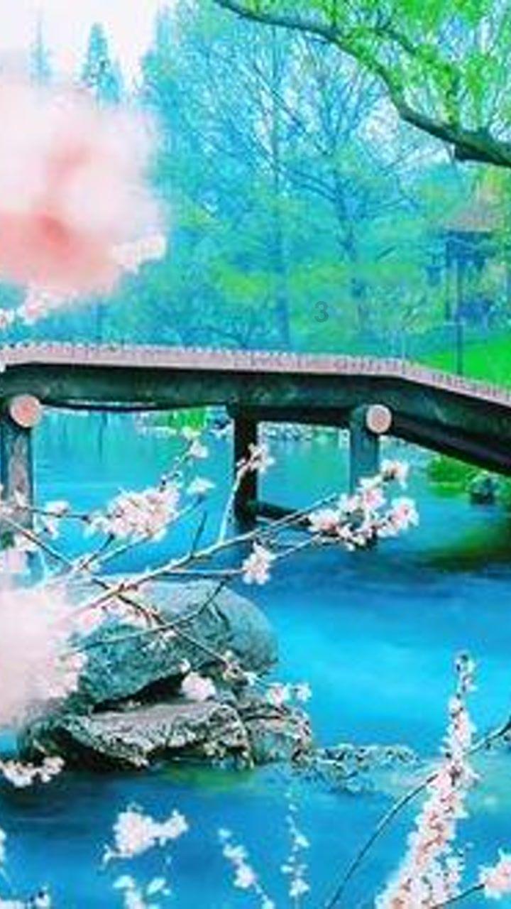 中国十大风水学派的代表人物